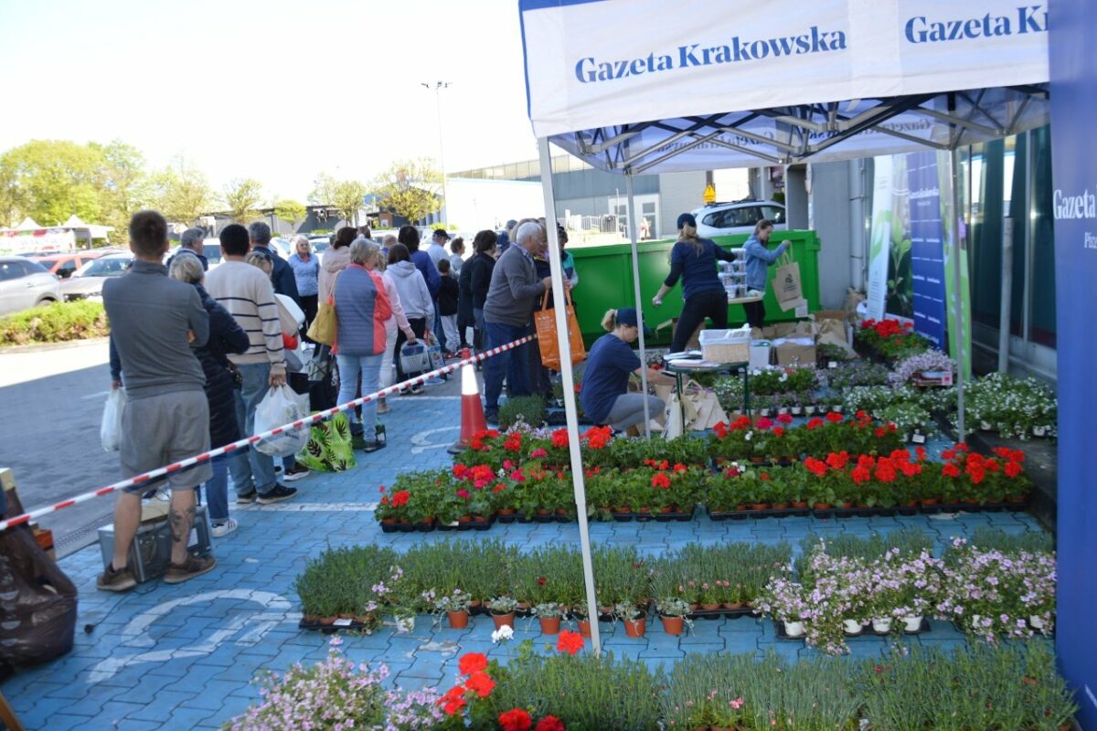 Sadzonka za surowce wtórne, autor: Małgorzata Gleń / gazetakrakowska.pl