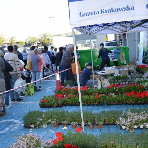Sadzonka za surowce wtórne, autor: Małgorzata Gleń / gazetakrakowska.pl