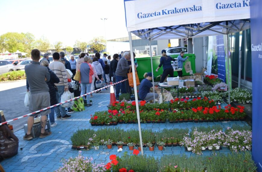 Sadzonka za surowce wtórne, autor: Małgorzata Gleń / gazetakrakowska.pl