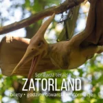 Zatorland, fot. Zatorland / facebook.com
