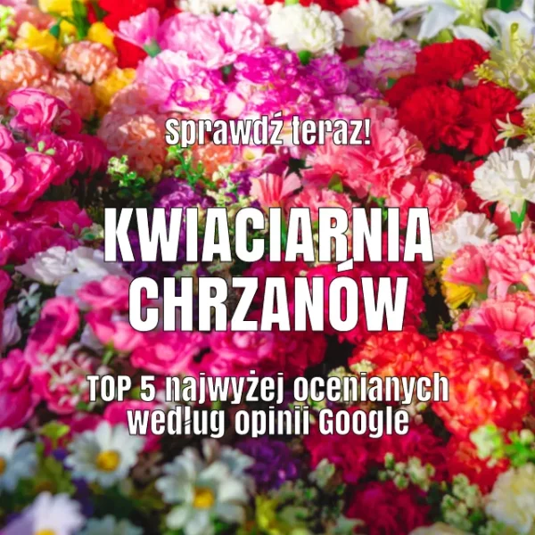 Kwiaciarnia Chrzanów, fot. Russieseo / Vista