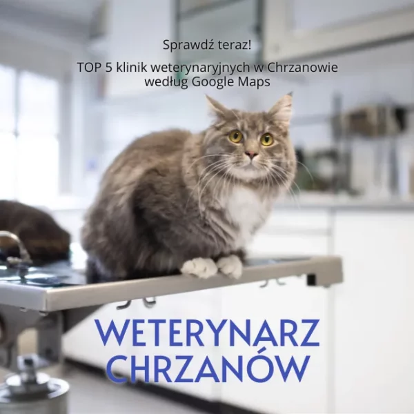 Weterynarz Chrzanów, fot. FurryFritz / Vista