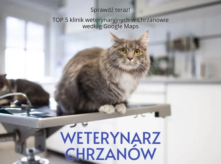 Weterynarz Chrzanów, fot. FurryFritz / Vista
