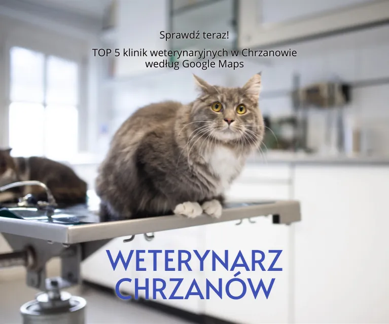 Weterynarz Chrzanów, fot. FurryFritz / Vista